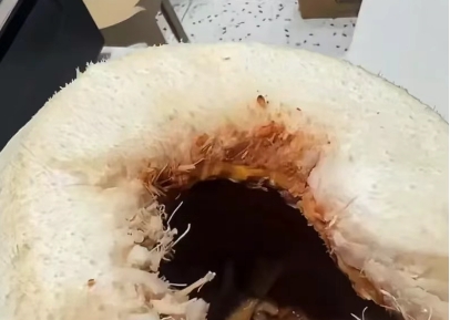 喝完一看，头皮发麻……提醒：这种椰子水千万别乱喝！